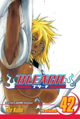 Bleach, Vol. 42 by Kubo, Tite