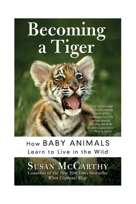 Becoming a Tiger by McCarthy, Susan