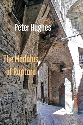 The Modulus of Rupture by Hughes, Peter