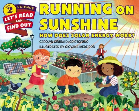 Running on Sunshine: How Does Solar Energy Work? by Decristofano, Carolyn Cinami