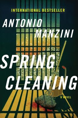 Spring Cleaning by Manzini, Antonio