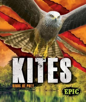 Kites: Birds of Prey by Sommer, Nathan