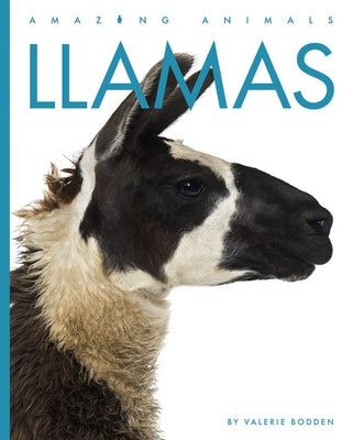 Llamas by Bodden, Valerie