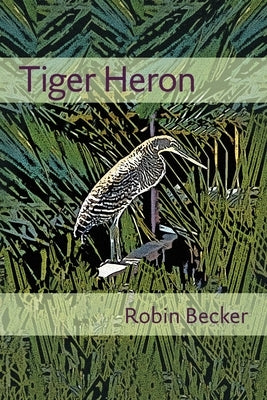 Tiger Heron by Becker, Robin