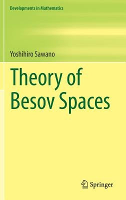 Theory of Besov Spaces by Sawano, Yoshihiro