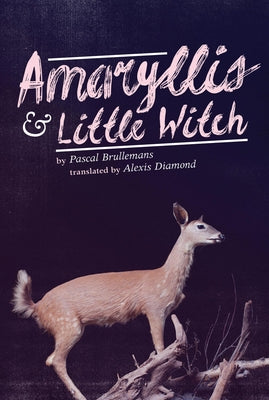 Amaryllis & Little Witch by Brullemans, Pascal