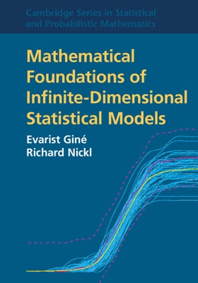 Mathematical Foundations of Infinite-Dimensional Statistical Models by GinÃ©, Evarist