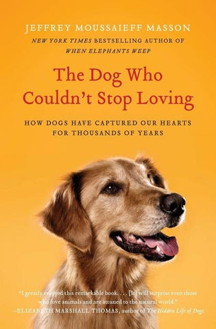 The Dog Who Couldn't Stop Loving by Masson, Jeffrey Moussaieff