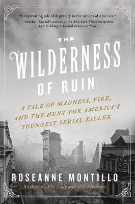 The Wilderness of Ruin by Montillo, Roseanne