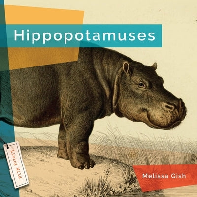 Hippopotamuses by Gish, Melissa