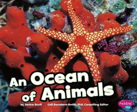 An Ocean of Animals by Scott, Janine