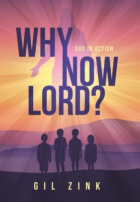 Why Now Lord?: God in Action by Zink, Gil