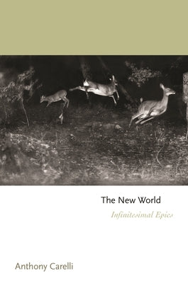 The New World: Infinitesimal Epics by Carelli, Anthony