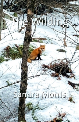 The Wilding by Morris, Sandra