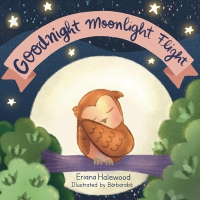 Goodnight Moonlight Flight: A Soothing Bedtime Flight With Bright by Hall, Indira A.