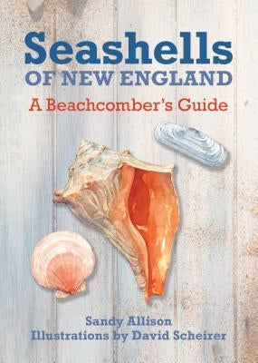 Seashells of New England: A Beachcomber's Guide by Sept, J. Duane