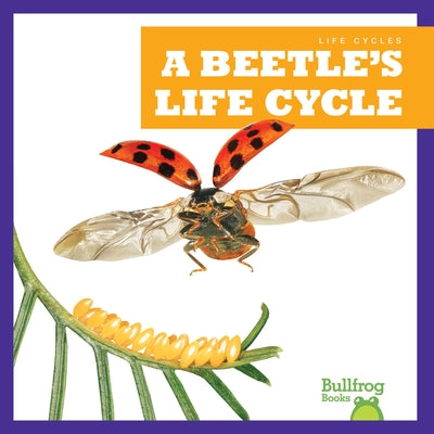 A Beetle's Life Cycle by Rice, Jamie