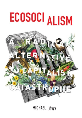 Ecosocialism: A Radical Alternative to Capitalist Catastrophe by LÃ¶wy, Michael