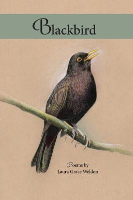 Blackbird: poems by Weldon, Laura Grace