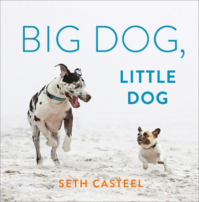 Big Dog, Little Dog by Casteel, Seth