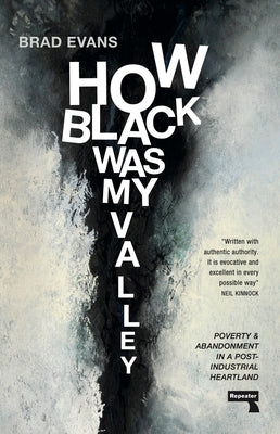 How Black Was My Valley: Poverty and Abandonment in a Post-Industrial Heartland by Evans, Brad