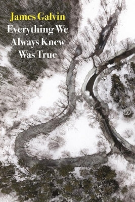 Everything We Always Knew Was True by Galvin, James