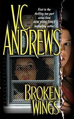 Broken Wings by Andrews, V. C.