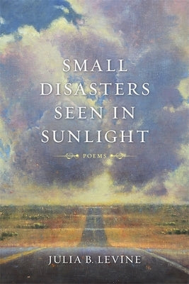 Small Disasters Seen in Sunlight by Levine, Julia B.