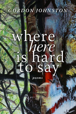 Where Here Is Hard to Say by Johnston, Gordon