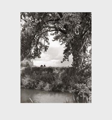 Robert Adams: Cottonwoods by Adams, Robert