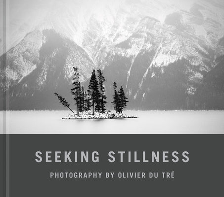 Seeking Stillness by Du TrÃ©, Olivier