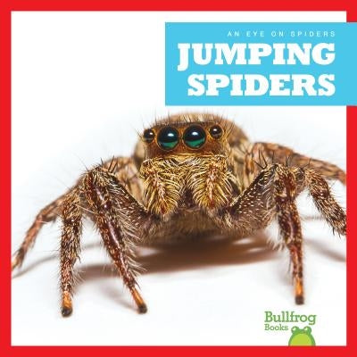 Jumping Spiders by Gleisner, Jenna Lee