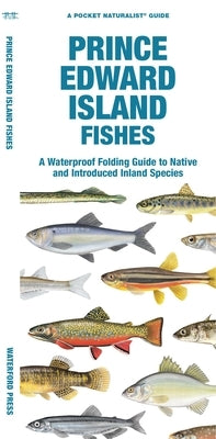 Prince Edward Island Fishes: A Folding Guide to Native and Introduced Freshwater Species by Waterford Press