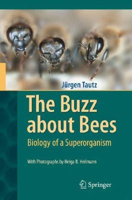 The Buzz about Bees: Biology of a Superorganism by Tautz, JÃ¼rgen