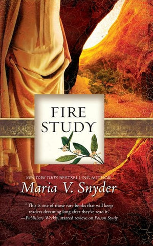 Fire Study (Original) by Snyder, Maria V.