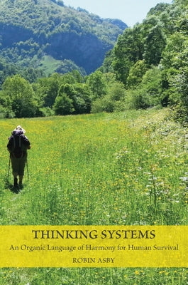 Thinking Systems by Asby, Robin