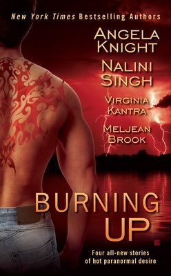 Burning Up by Knight, Angela