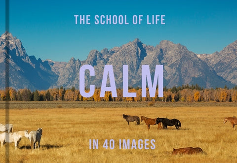 Calm in 40 Images: The Art of Finding Serenity by Life, The School of