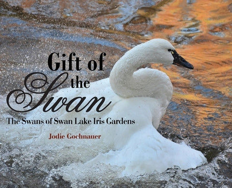 Gift of the Swan: The Swans of Swan Lake Iris Gardens by Gochnauer, Jodie