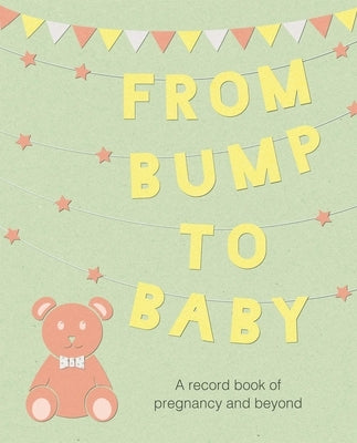 From Bump to Baby: A Record Book of Pregnancy and Beyond by Cico Books