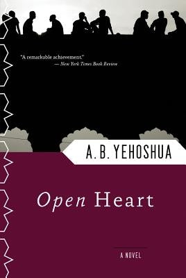 Open Heart by Yehoshua, Abraham B.