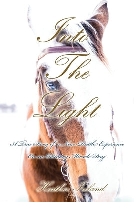 Into The Light: A True Story of a Near-Death Experience on An Ordinary Miracle Day by Ireland, Heather