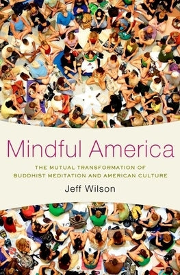 Mindful America C by Wilson