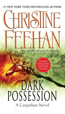 Dark Possession by Feehan, Christine