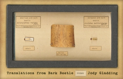 Translations from Bark Beetle: Poems by Gladding, Jody