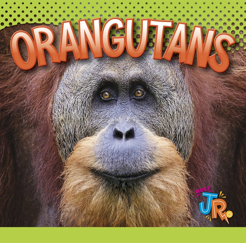 Orangutans by Storm, Marysa