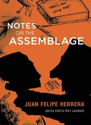 Notes on the Assemblage by Herrera, Juan Felipe