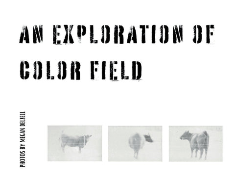 An Exploration In Color Field by Delzell, Megan