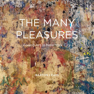 The Many Pleasures: Found Art in New York City by Lewis, Barton