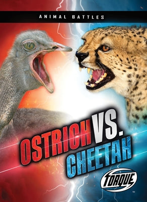 Ostrich vs. Cheetah by Sommer, Nathan